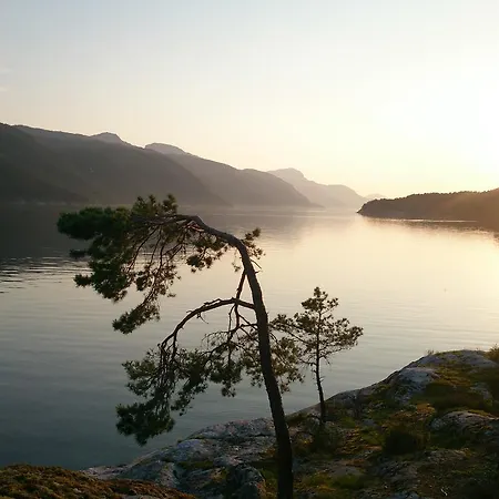 Fjordferie Vindafjorden